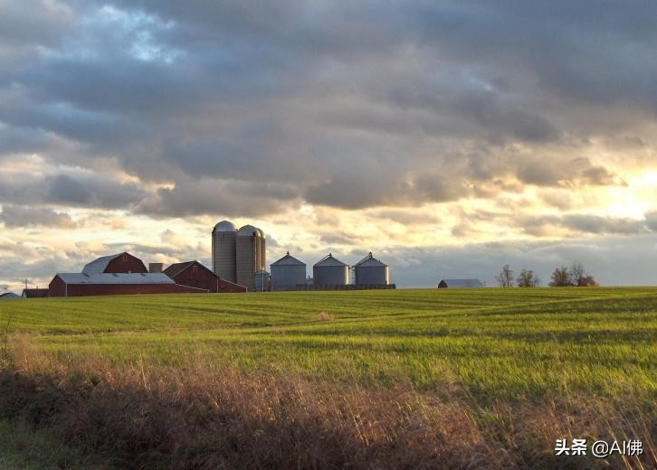 美国最适合居住的城镇,美国各州最适合居住的地方
