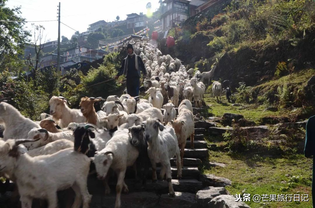 一个女孩徒步西藏49天,一个女孩的徒步旅行