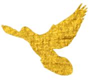 公益活动中医调理,公益直播课中医养生