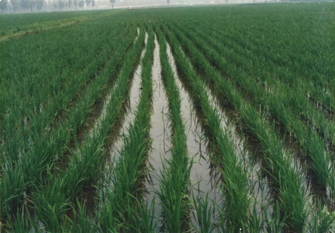 好山好水好地方祖国山河多壮美,好山好水好地方完整版于文华