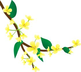 九针理论书籍,九针怎么读