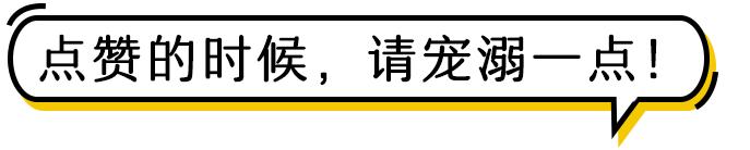 宁德2019政府招聘驾驶员,宁德市公安局最新招聘