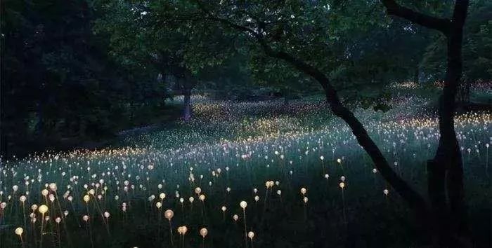 鄱阳湖帐篷节,草原帐篷节