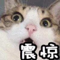 你的名牌衣服是打这儿来的吗？山东一服装市场千元大牌只卖几十元！附近200多个加工点偷加工……