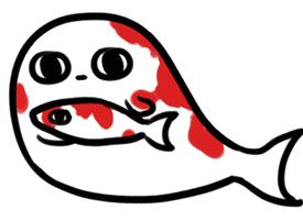 汝州中奖,锦鲤大奖666