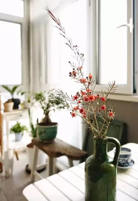 多种花材该如何插花,插花必备的几种花