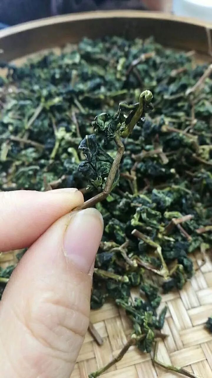 最近安溪铁观音行情,安溪铁观音秋茶火热上市