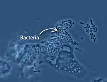 带你声临其境探索宇宙,带你探索维度空间