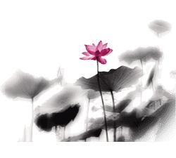 尤溪汤川最高山峰排名,尤溪十大高峰排名