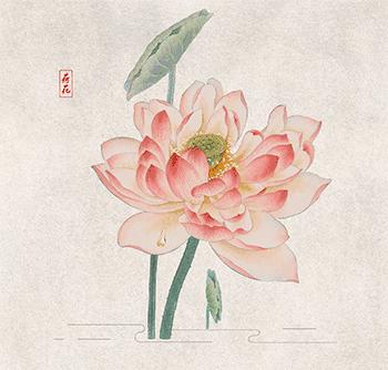 jeffkoons优衣库联名,优衣库xkaws合作系列