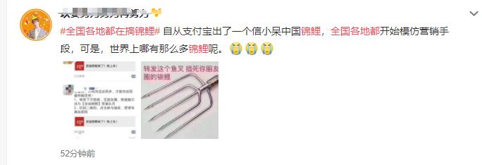 关于锦鲤的骗局有哪些,锦鲤骗局曝光至少30万人已上当