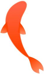 最近锦鲤为什么火了,锦鲤是如何火起来的