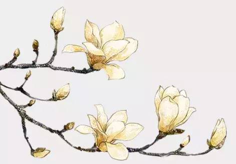 徐霞客游蝴蝶泉,徐霞客旅行记