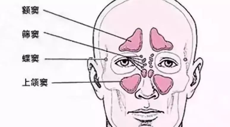 儿童鼻痒鼻塞鼻炎用什么喷剂,小孩鼻塞建议用什么鼻喷雾剂