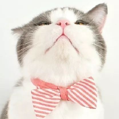 女孩无休止室上速?“真凶”样子有点“怪”!