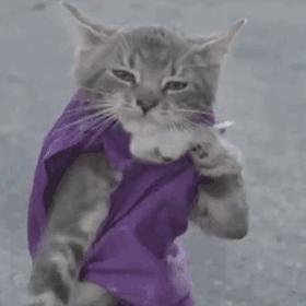 每日一笑你觉得哪个更好笑,每日一笑差距