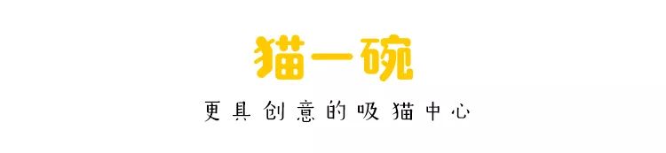 养猫的用处每一个都好硬核 (年轻人养猫和老人养猫的区别)