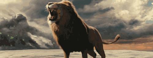 珠宝界的动物们，都是用生命在卖萌「江南收藏珠宝世界」