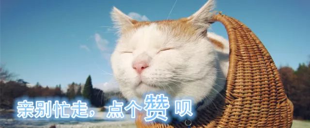 塑化剂带来的生殖毒性,人类摄入塑化剂会促使什么分泌