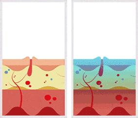 用它立马变女神,一种神奇的面霜抹上它瞬间变年轻
