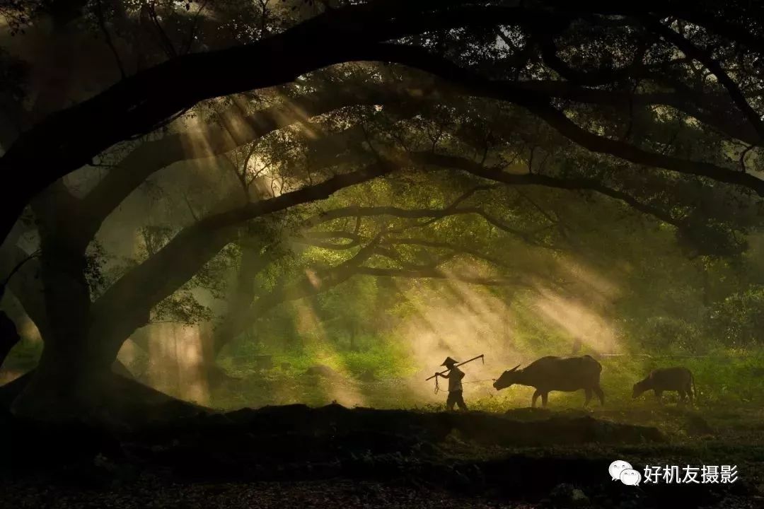 相机元器件坏了,器材常识