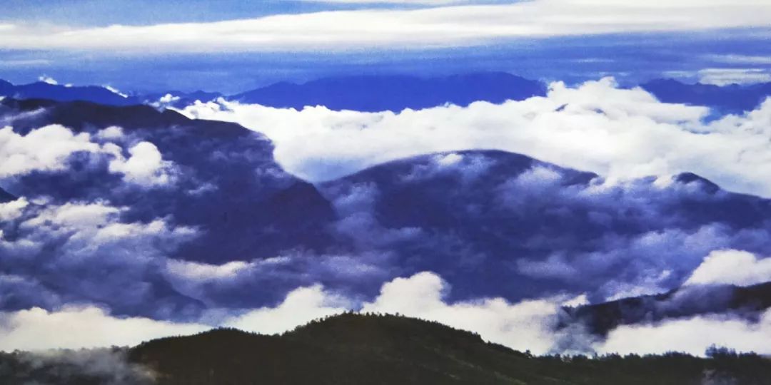 「推荐」刷屏！这是我眼中的边境河口