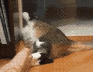 治疗脚气烂脚丫的小妙招,如何治疗脚臭脚气脚后跟开裂