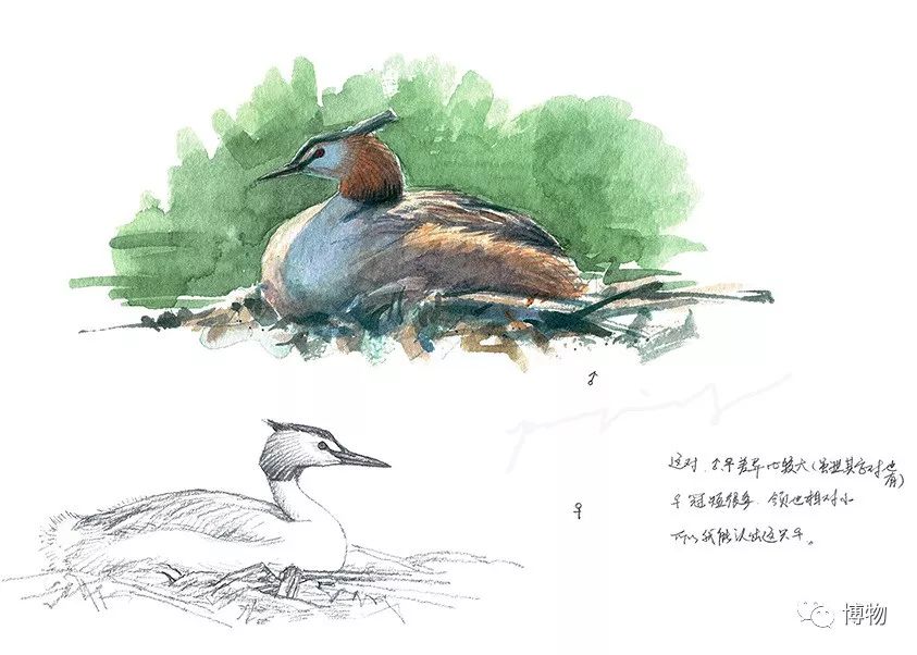 想跟博物一起外出采风？春节我们滇西见