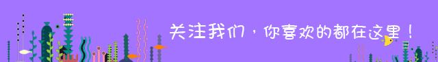 海缸珊瑚的饲养,海缸新手入门详细教程及注意事项