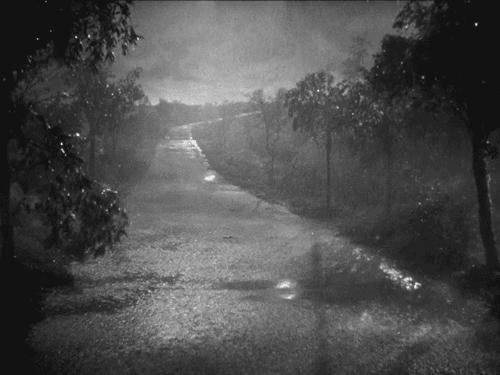 义乌新一轮强降雨袭来！雨天防护秘籍学起来