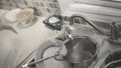 它价值一个月薪2w的家政阿姨,德国人家庭必备,狂卖了600万瓶