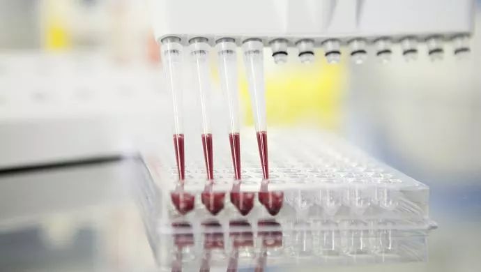 白血病是不可逆的吗,白血病是唯一可以治愈的癌症