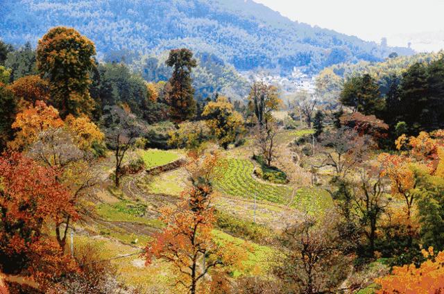 杭黄高铁免费表,杭黄高铁什么时候开始运行