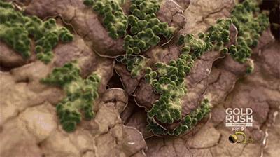 永不臭脚的防滑拖鞋,冬季防滑防臭拖鞋抗菌不臭脚