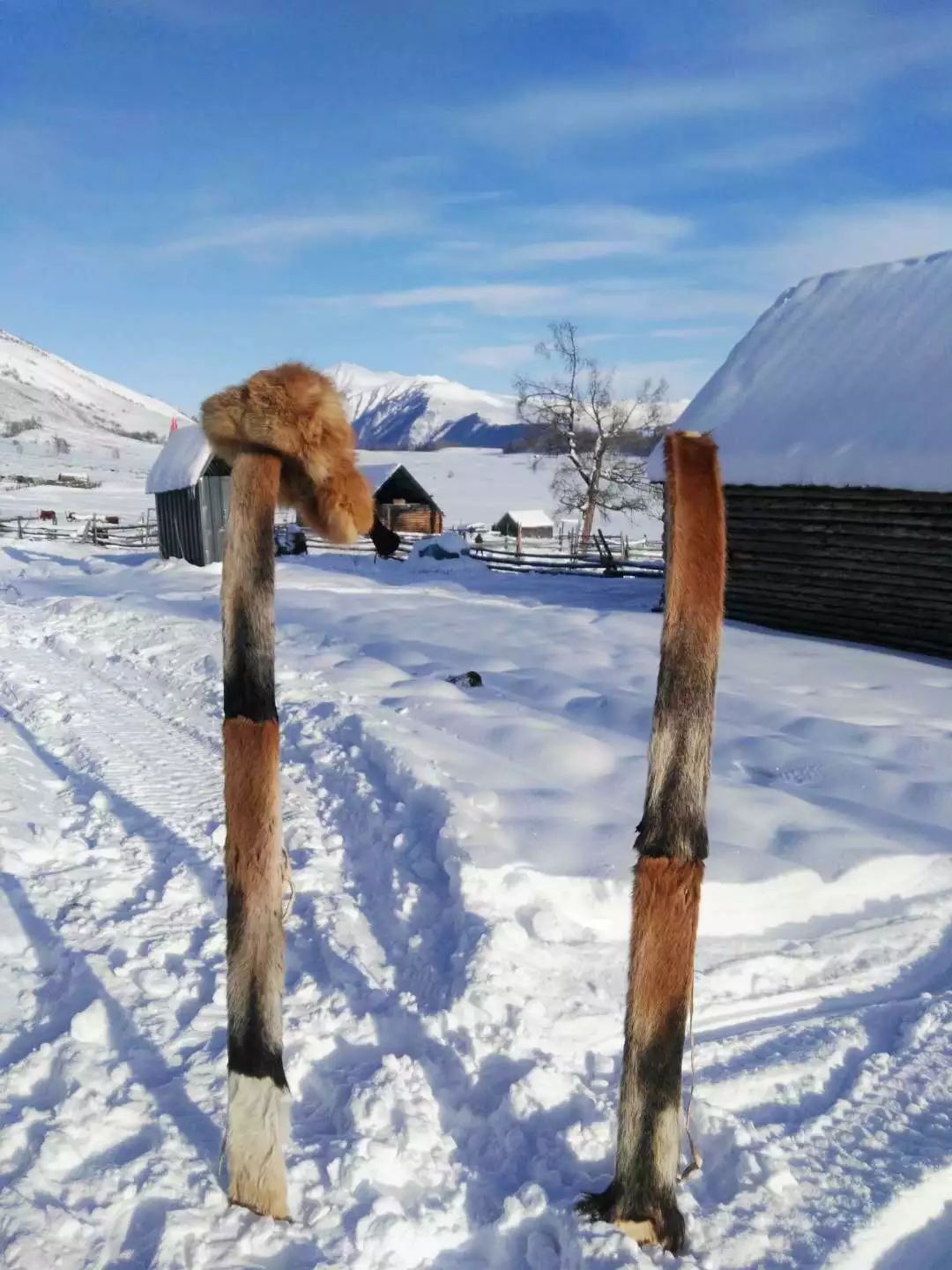 新疆铁路最新调图乌鲁木齐,新疆铁路最新调图列车时刻表