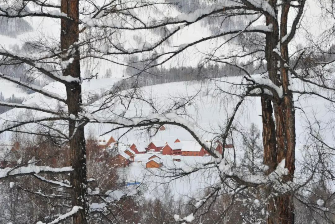 喀纳斯秋雪美景,喀纳斯雪国