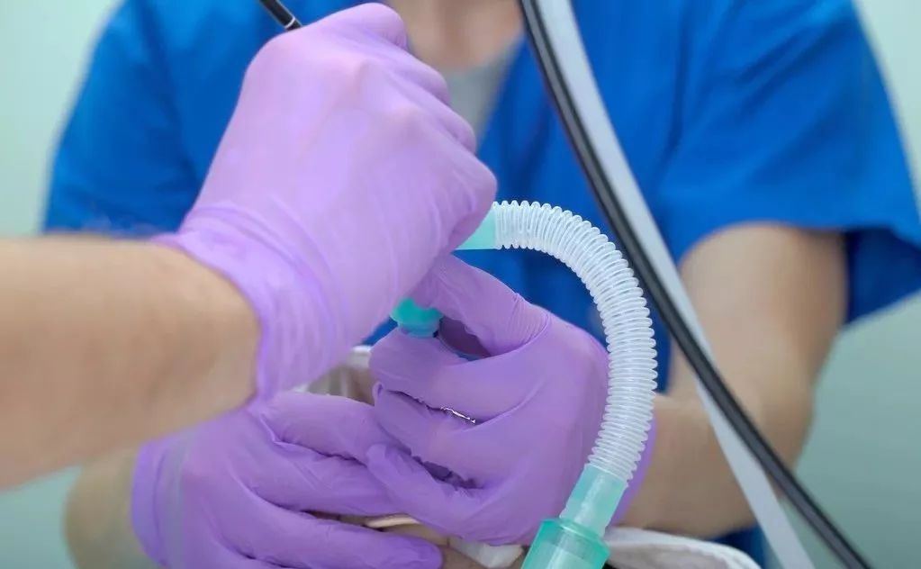 合格支气管肺泡灌洗液标准,支气管肺泡灌洗的操作方法