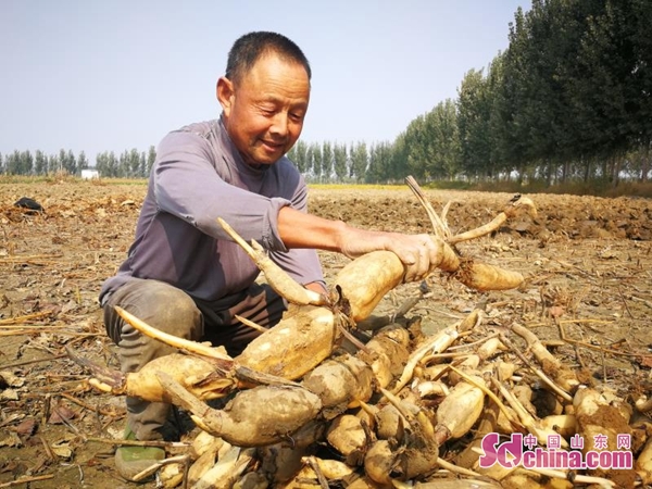 济宁汶上特色,济宁汶上经济发达乡镇