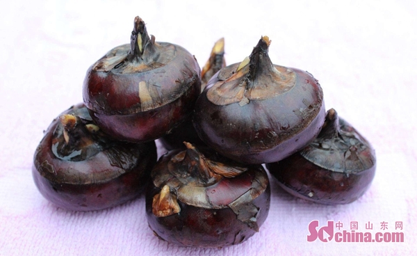 济宁汶上特色,济宁汶上经济发达乡镇