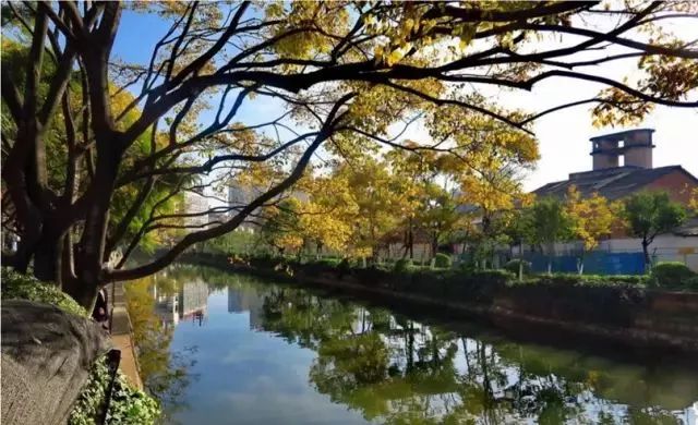 昆明主城中央公园及cbd核心区规划,昆明世博园片区最新规划