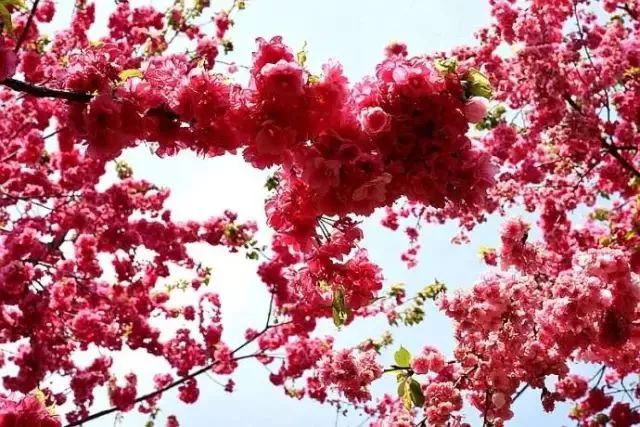 昆明首创奥莱地址,昆明将建100个中心公园名单