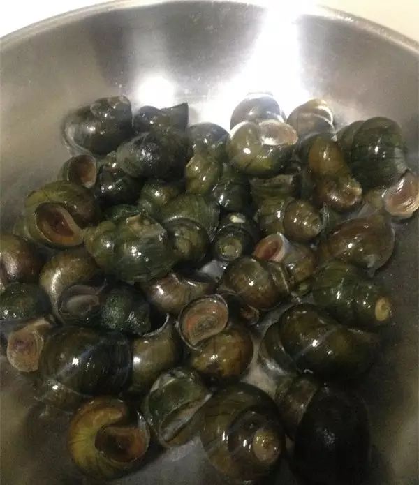 柳州螺蛳鸭脚煲最正宗的做法,自制螺蛳粉鸭脚煲