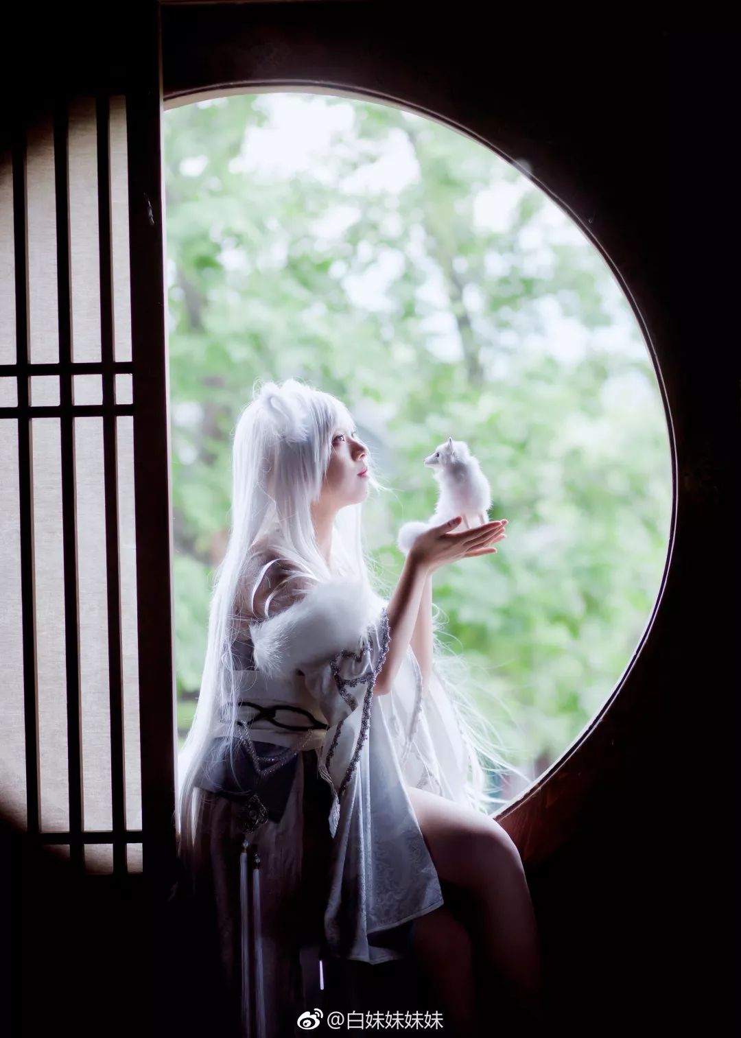 小姐姐狐狸,小姐姐小狐狸