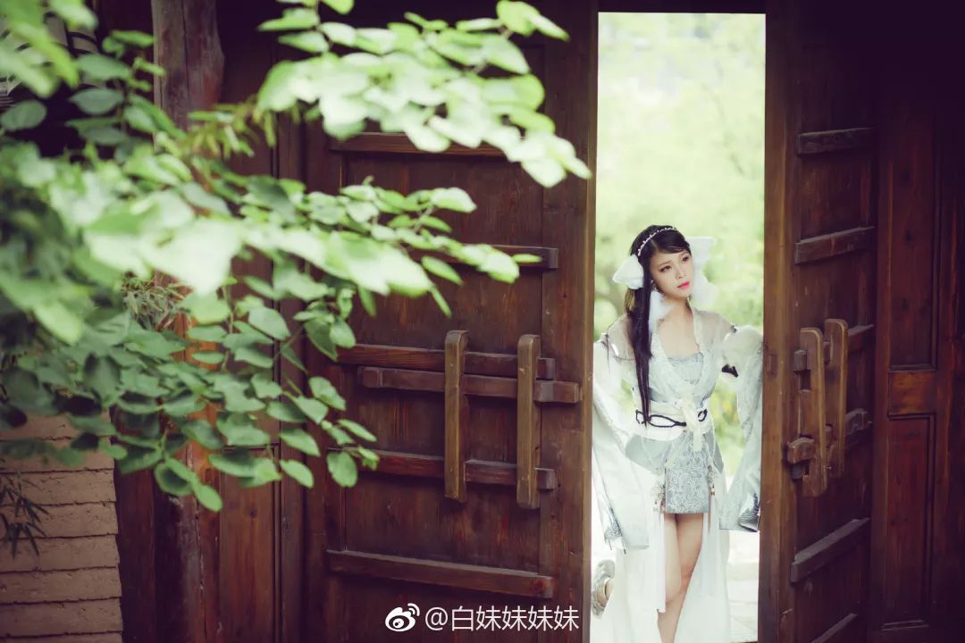 小姐姐狐狸,小姐姐小狐狸