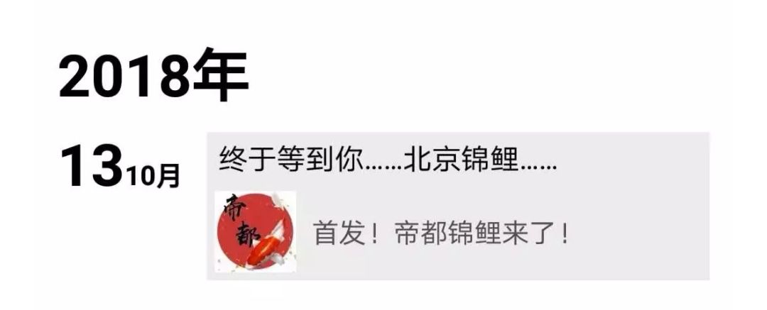 “锦鲤”很忙！*子骗**也没闲着……