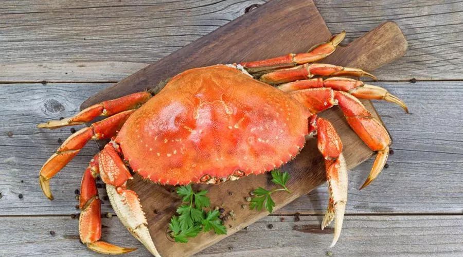 现在一般柿子跟什么可以一起吃,青柿子不能吃什么