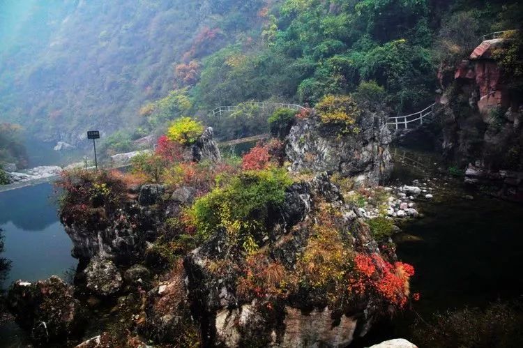 河南秋天最美红叶景区,太美了河南景观