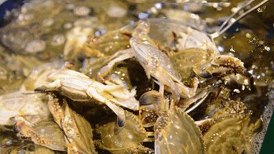 玉林侬，冲鸭！北海8月16日开海，教你在哪里买海鲜最新鲜，最实惠