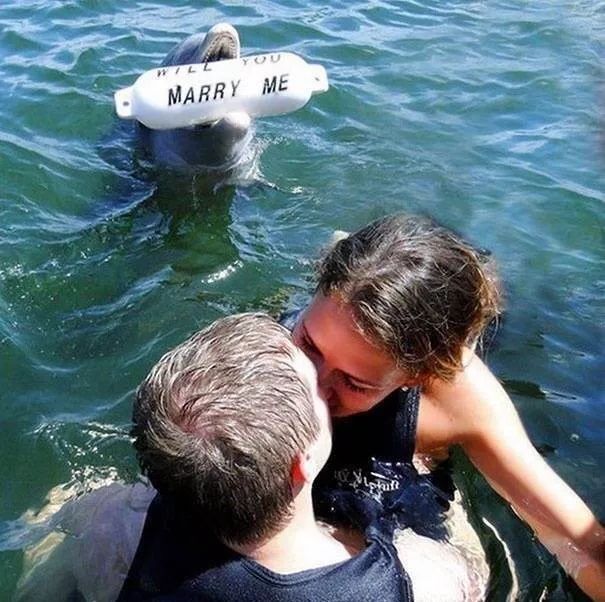 求婚太奇葩,那些奇葩的求婚