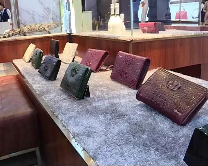 疯狂的包包,疯狂包的价值